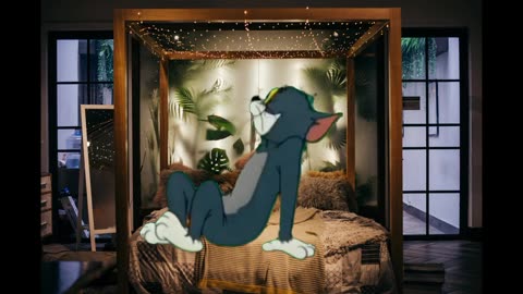 TOM AND JERRY CARTOON VIDEO MOST POPULAR VIDEO FUNNY CARTOON