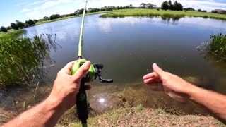 This SMALL Pond is LOADED w/ GIANT Bass! (Bank Fishing)