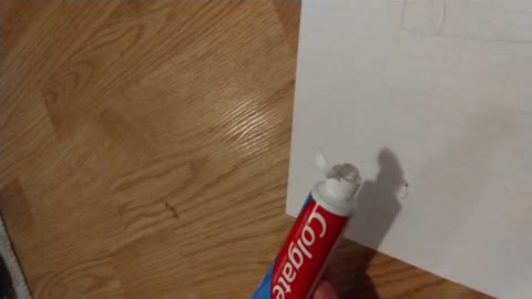 Bug in Colgate Toothpaste