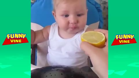 Babies Eating Lemons for The First Time Compilation Funny Kids Videos