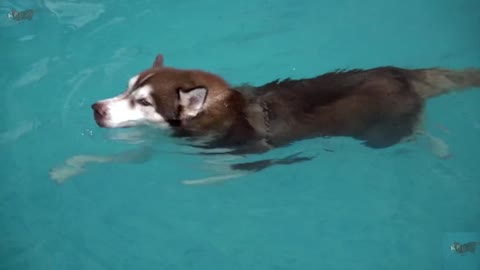 It's good to swim