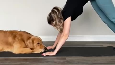 Dog and girl in joy