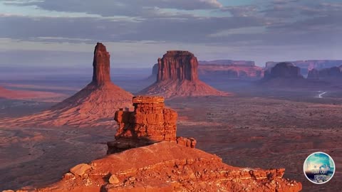 BIBLICAL GIANT PETRIFIED TREES