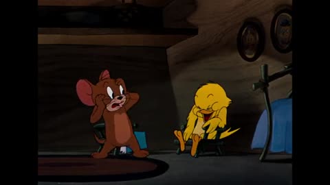 Tom and Jerry Funny cartoon