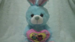 Cute blue stuffed rabbit, holding a heart with the design of 2 owls [Nature & Animals]