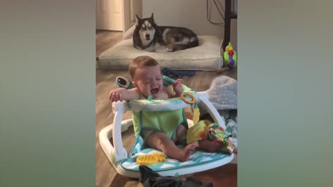 Cute Babies Playing With Dogs Compilation