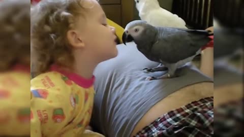 Parrots have their moments with Kids