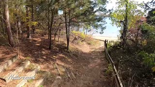 A Walk to the Beach - Lake Ann - Sand Dunes State Forest, Minnesota.