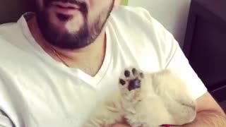 Brown puppy being held by man in white shirt