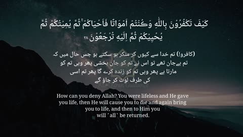 Surah Al-Baqarah 1-40 | سورة البقرة | Urdu Recitation | Memorize with Heart soothing Recitation #top