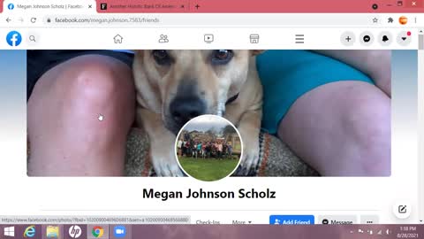 How Does Megan Scholz BOA - Get Money To Donate ??? Asking for Scammed PPP Loan Recipients