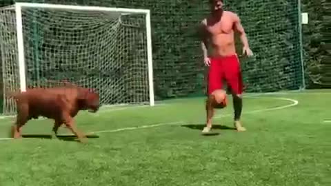 Messi's Dog