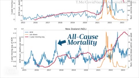 Dopo i vaccini (veleni) anti Covid (raffreddore) eccesso di morti