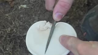 Survival Band-Aid from a Wild Mushroom!