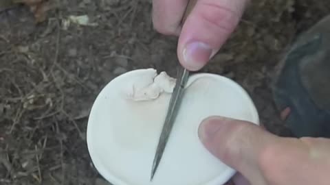 Survival Band-Aid from a Wild Mushroom!