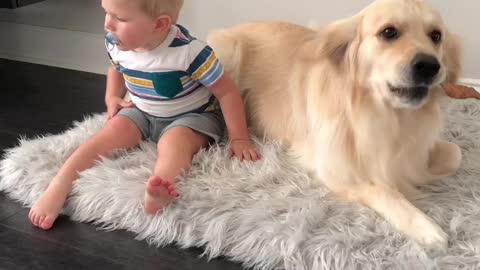 Adorable Pup Is Willing To Share His Bed But Not His Treat