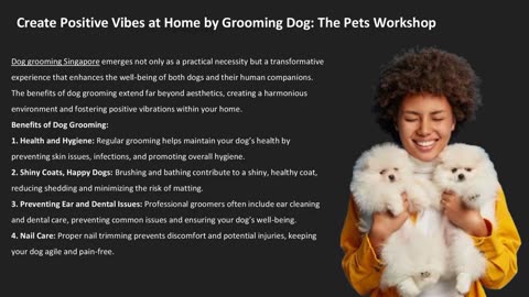 Create Positive Vibes at Home by Grooming Dog: The Pets Workshop