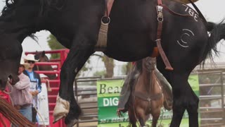 Delisle Rodeo Day 3