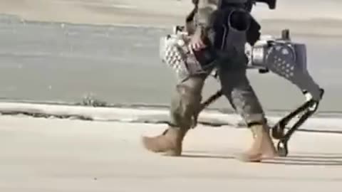 Just a Chinese soldier walking his robot dog