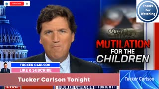 Tucker Carlson Tonight 4/11/24
