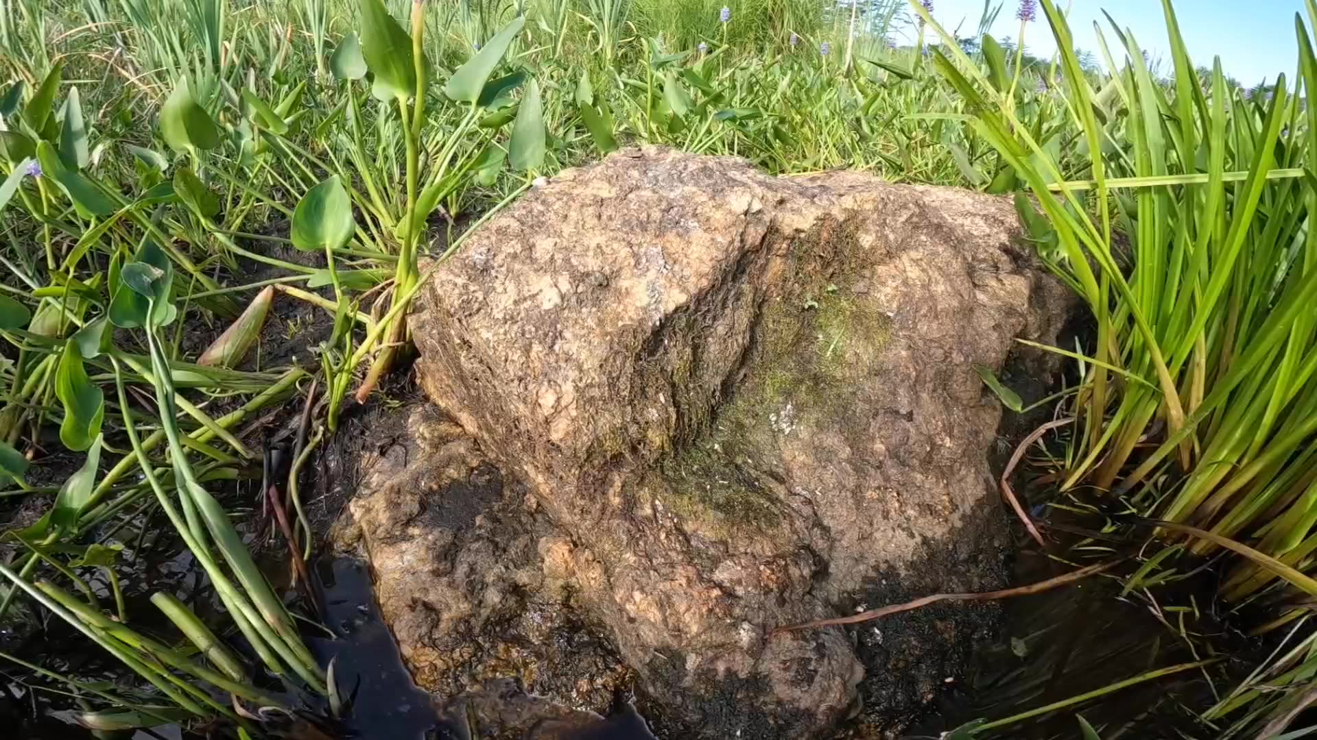 Rad Rocks Rad Rock