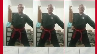 Shorin-ryu Karate training drill