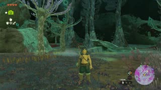 Into the sky, descend the depths - Zelda: Tears of the Kingdom [9]