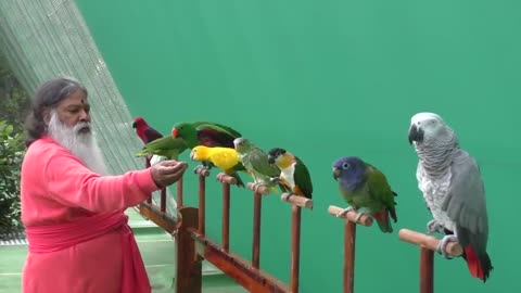 Shuka Vana ~ Rehabilitation Centre for Birds