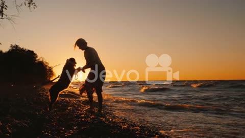 Watch how this dog plays at the sea with his friend