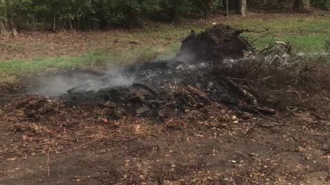 Neighbor's Fire Isn't the Only Thing Getting Out of Control