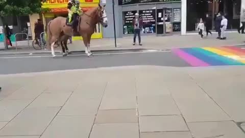 horses and LGBT
