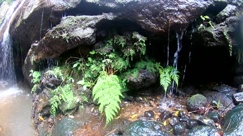 Nature Waterfall in Village #Short_Video