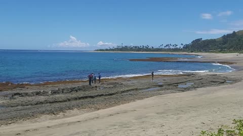 Beauty Isn't it-Fiji