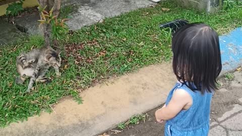 Staring Contest Between Sophie And A Cat