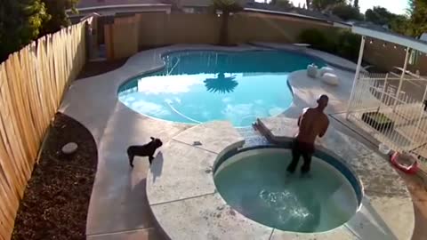 All dogs can't swim: here is the proof