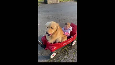 This baby is having a ride with her bestie! 🥰