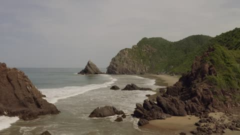 Coast landscape