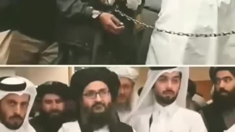 جہاد کی برکت /Taliban attitude /mullah abdulgani brother