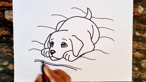 Easy Sad Dog Drawing // Easy Drawing