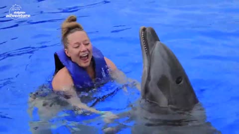 Dolphin Encounter and Swim Experience | Puerto Vallarta