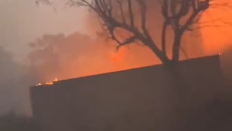 Maui Fires - Evacuation 2