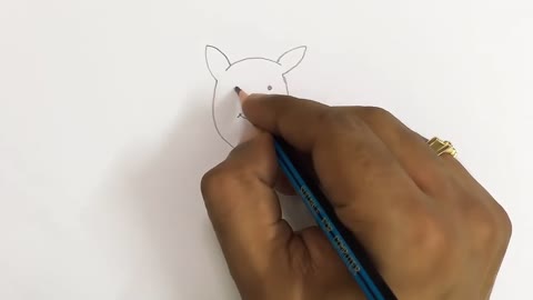 Step by Step How to Draw Cartoon Kangaroo For Kids