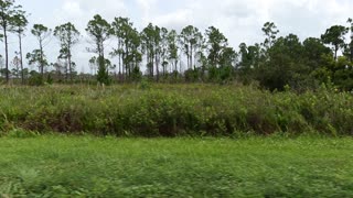 (00172) Part Three (P) - Rural Highlands County, Florida. Sightseeing America!