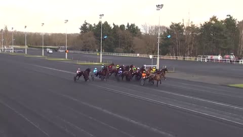 QUINTE PLUS PRIX PRIX DE BELGIQUE | DAVIDSON DU PONT | VINCENNES | 17/01/21