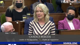 Bergen says Trudeau has an "ideological attachment" to covid restrictions