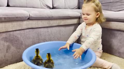 Cute_Baby_Meets_New_Baby_Ducklings_For_the_First_Time