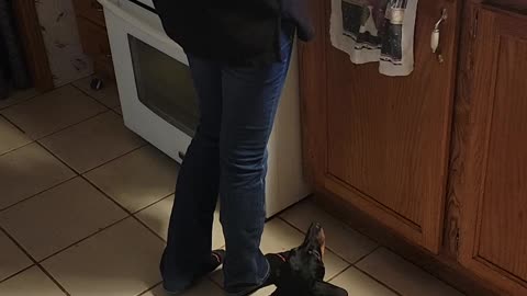 My Wife and her weenie dog
