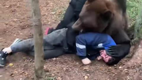 Bear Buddies: Unleashing Wild Fun with Human Friends