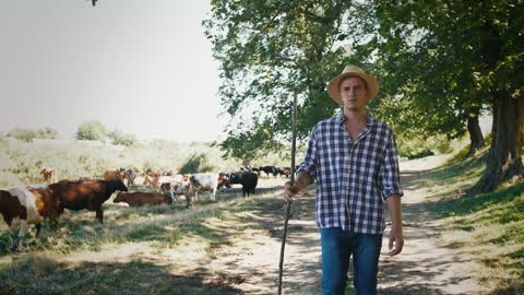 Young villager man shepherd in straw hat walking with his flock of cows