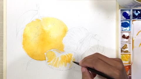 Master paints a delicate orange with watercolor 4